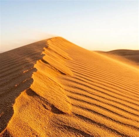 跻身全球前三：微软最强生图AI模型MAI-Image-2登场|Co…