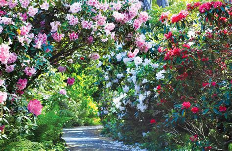 I hope this does not come off odd but as much as I love your general