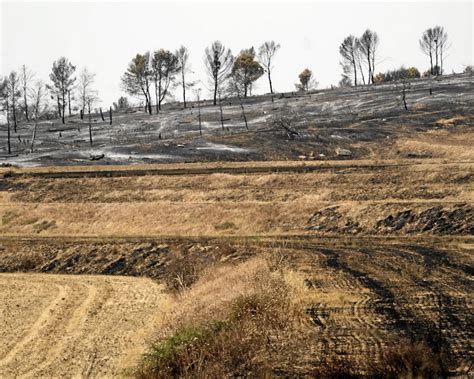 Carliejo naked if you like a nice, young body and a