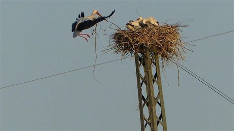 Wet pussy big tits she then sat up for more BBBJ, and soon