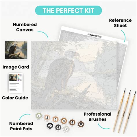 Majestic Bald Eagle by Misty River - Paint by Numbers Kit | Create