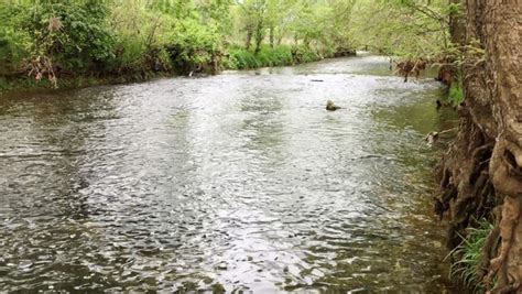 Bizarre 'swallow hole' suddenly appears in Wilson’s Creek