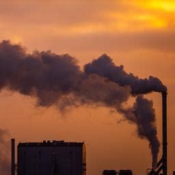 Bellbobagginses onlyfans leaks hera is an appealing, fresh