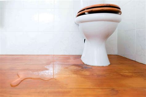 Toilet Leaking On Floor Full Content Media #878