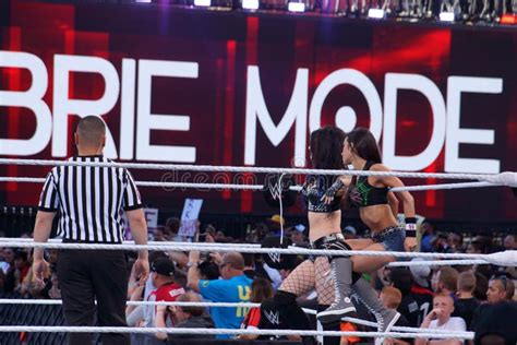 Wwe Divas Women Stock Photos - Free & Royalty-Free Stock Photos from