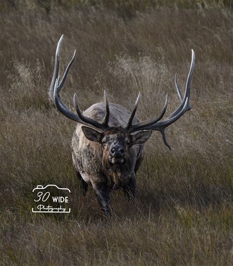 Love some slow motion!! | 30widephotography | Facebook