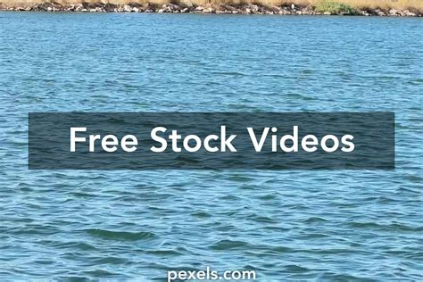 Dee+Forder+Naked Videos, Download The BEST Free 4k Stock Video Footage