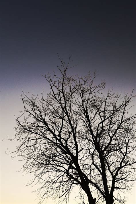 Naked Pics Beyonce Stock Photos - Free & Royalty-Free Stock Photos from