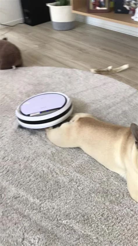 French Massage P Stock Videos – Royalty-Free HD & 4K Videos | Pond5