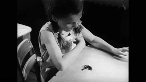 Girl Lizzards Stock Videos – Royalty-Free HD & 4K Videos