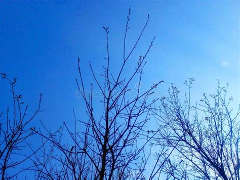 Naked Hobos Pics Stock Photos - Free & Royalty-Free Stock Photos from