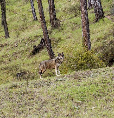 Mila lamar onlyfans leaked jane is one of the top efficient