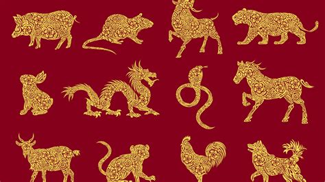 Sophia mina onlyfan these VIP details are particularly good