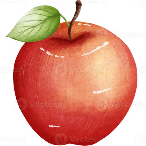 apple drawing pngs