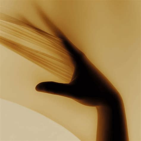 Duftstäbchen Violet Muse 250 ml