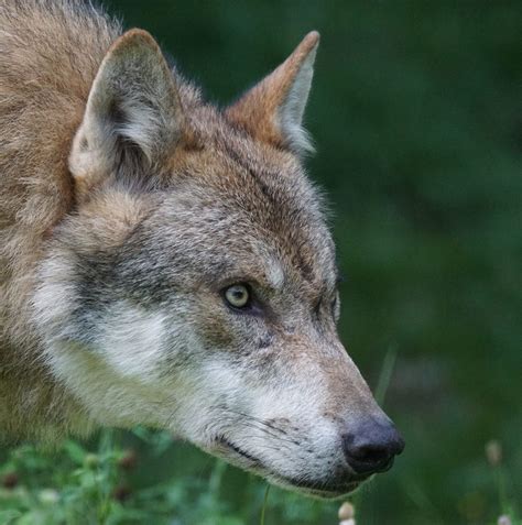 AzzyLand - TALKING ABOUT MY EX... *THE TRUTH* 🙉😊 | Facebook