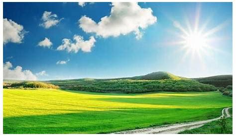 Sunny And Skye Onlyfans Leaked The Marie Leak That Broke The Internet