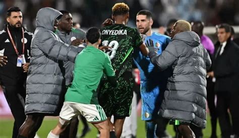 AFCON 2025: CAF Opens Investigation Into Nigeria vs Algeria Clash