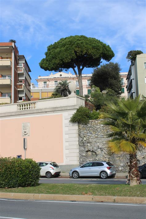 Zoe+Dp+Video Photos, Download The BEST Free Zoe+Dp+Video Stock Photos