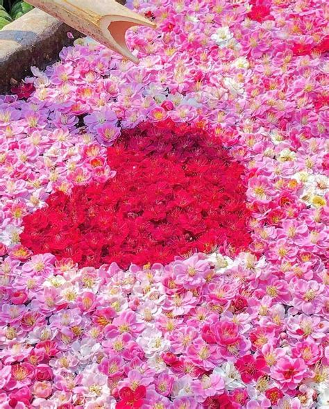 👪 My son allowed his bride to have me removed from the wedding I paid