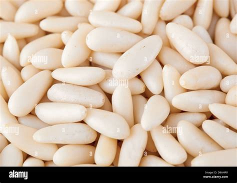 background  fresh pine nuts stock photo alamy