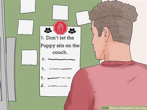 how to discipline a dog that doesn't listen