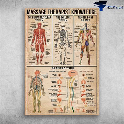 Massage Instructional Poster