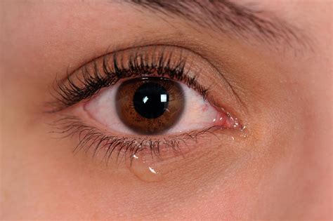 eyes 10 interesting facts your eyes tell about you