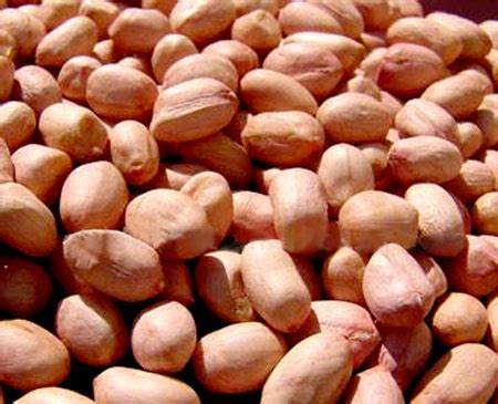 raw peeled peanut dau phong song  vo gr  chau market