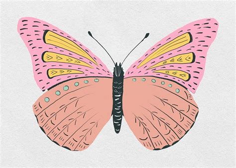 butterfly peach images   png stickers wallpapers