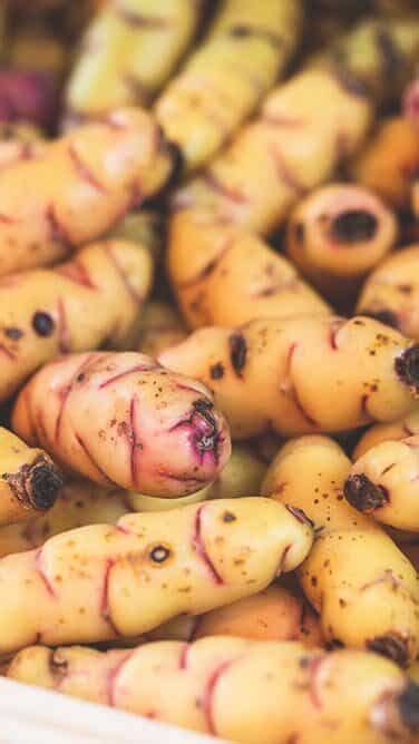 health benefits  oca