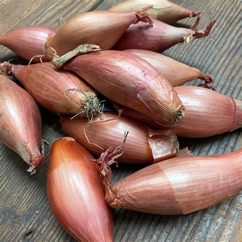 banana shallot  marion ohara blog