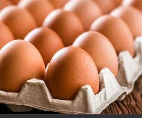 egg  kolkata latest price mandi rates  dealers  kolkata