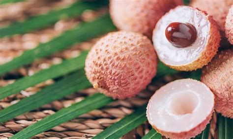 Discover the Nutritional Health Benefits of Litchi Fruit