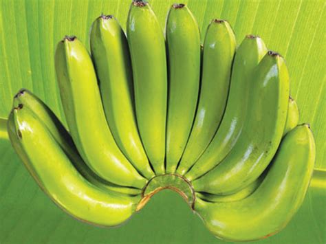 giam  nho chuoi xanh