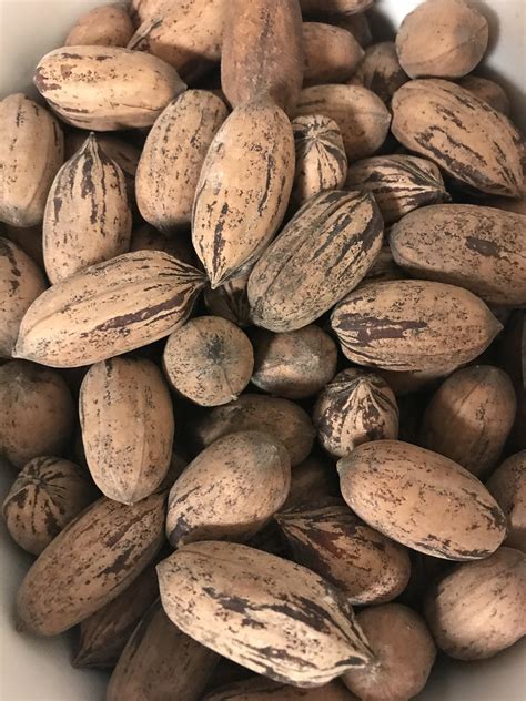 What kind of nuts are these? : r/nuts