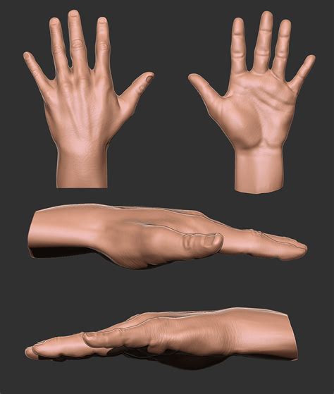 artstation hand sculpt study
