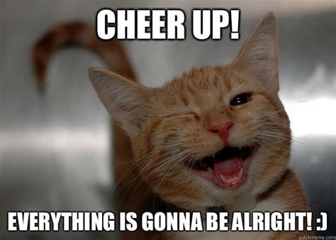 Cheer up! Everything is gonna be alright! :) - Cheer up Cat - quickmeme