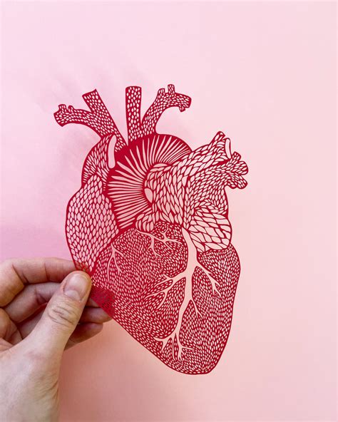 Anatomical Heart Papercutting Artwork | Light + Paper