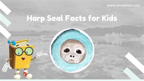 11 Amazing Harp Seal Facts for Kids [UPDATED]