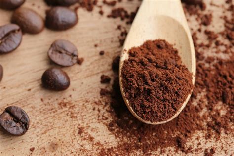 Can You Grind Nuts In A Magic Bullet at Michiko Durbin blog