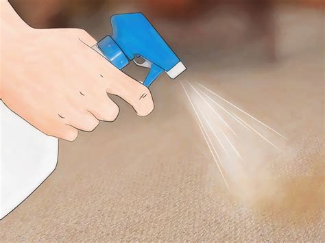 tree sap removal clothes 5