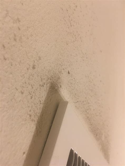 Is this mold or dust? : r/Mold