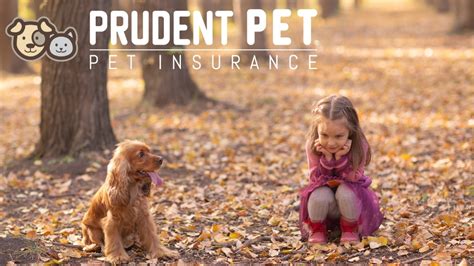 Prudent Pet Insurance Review 2024