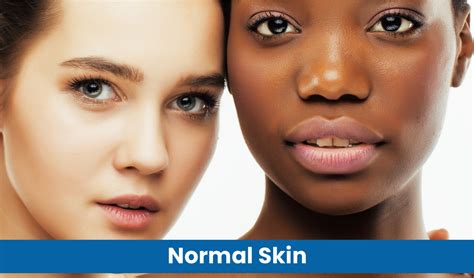 normal skin portia  skin solutions
