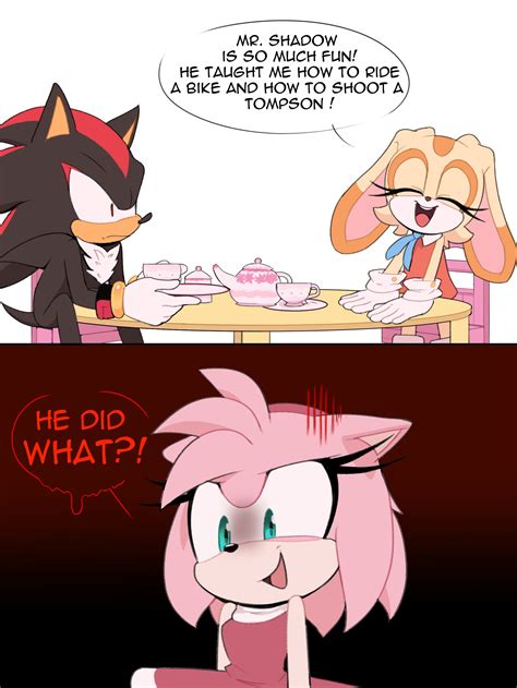 Shadow The Hedgehog And Cream The Rabbit