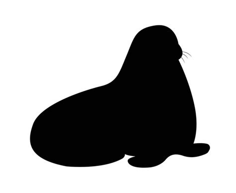 Premium Vector | Dark silhouette of walrus
