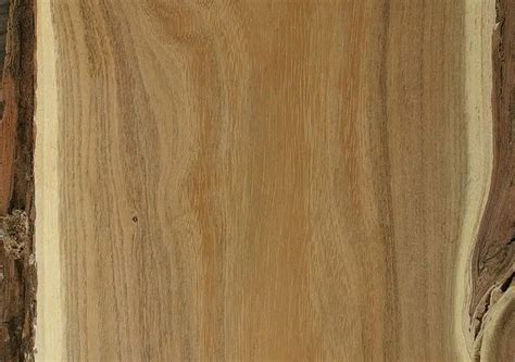 8 Best Water-Resistant Wood For Indoor & Outdoor (Ranked)