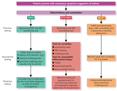 Asthma Classification Pdf