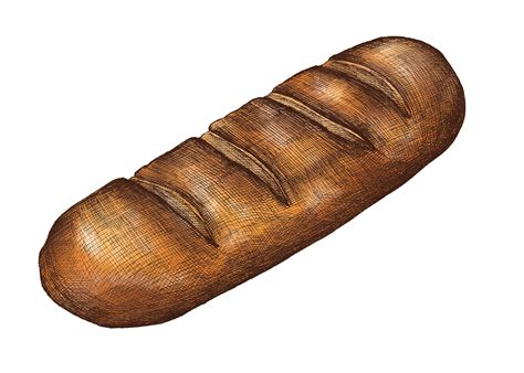 illustration  sliced white bread royalty  stock vector